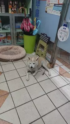 嘉德動物醫院(營業時間以FB公告為主)