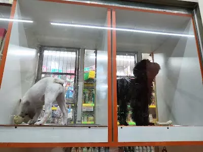 元氣寵物生活館