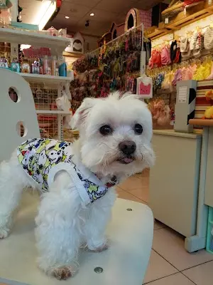 夢貝貝寵物衣服用品