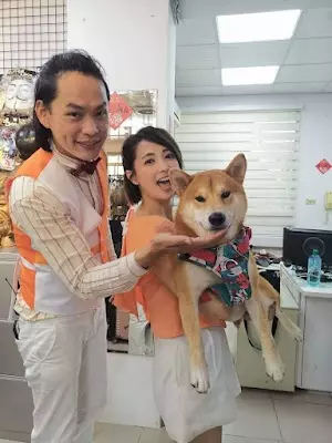 東湖動物醫院