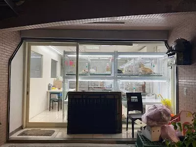 推薦寵物店 板橋買狗賣狗 幼犬 犬舍 專賣幼犬