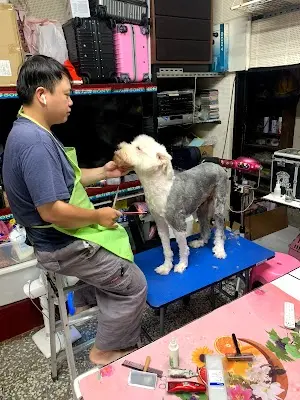 犬多寵物美容