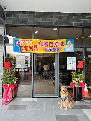 非常淘洗｜寵物美容·寵物自助洗·寵物用品·寵物食品