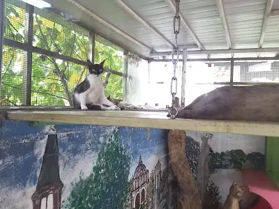 屏東市寵物快樂旅館