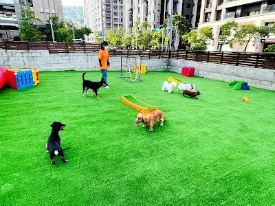 A+ Pet Hotel & Training 寵物旅館 訓練