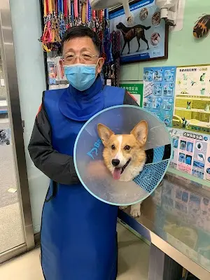 新生獸醫院