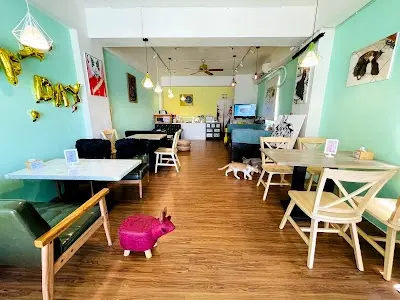 米克斯寵物友善餐廳｜寵物住宿（無關籠）｜寵物美容
