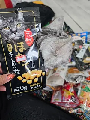 瑪吉寵物坊