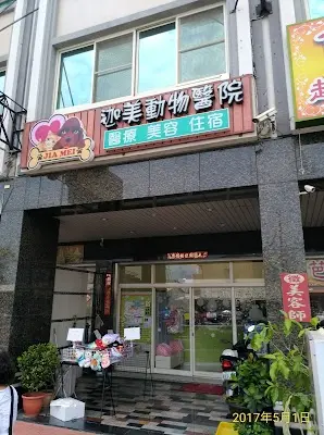 迦美動物醫院