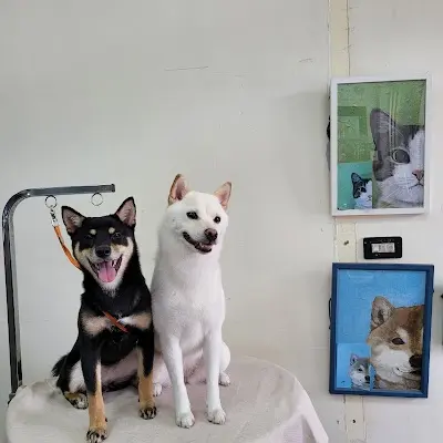 Brooke Pet 布魯克毛孩澡堂