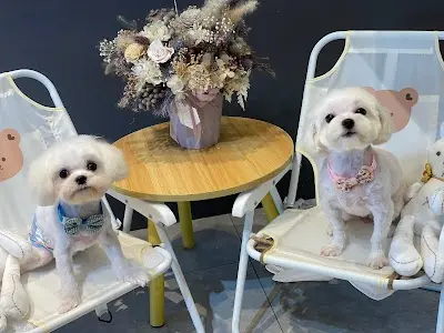 我們的小日子寵物精緻美容