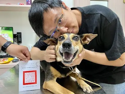 小毛屋動物醫院