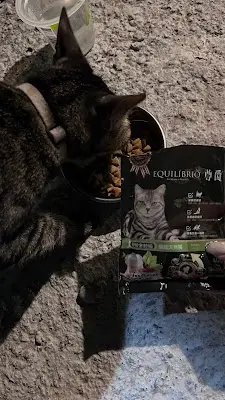 上美寵物飼料用品