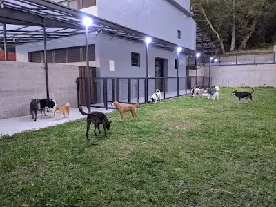 FunLife 飛萊寵物旅館