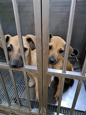 新竹縣動物保護教育園區