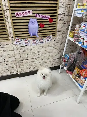 金吉利寵物精品 新店二店