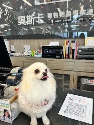 東森寵物 恆春環城南店