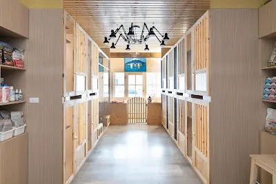 萌寵部落の愛喵旅館