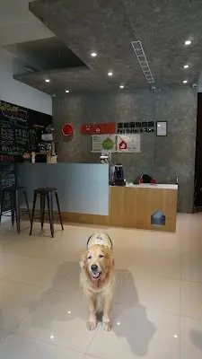森富寵物生活館/高雄合法寵物美容住宿推薦