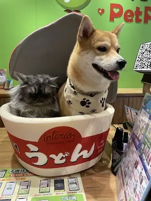 寵物公園(新月店)