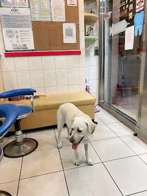 東大動物醫院