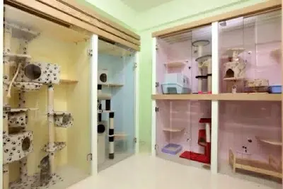 貓咪船長寵物旅館