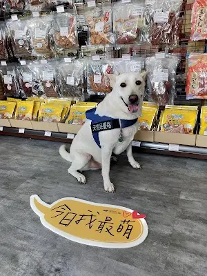百分百寵物生活館 寵物美容(鳳屏店)