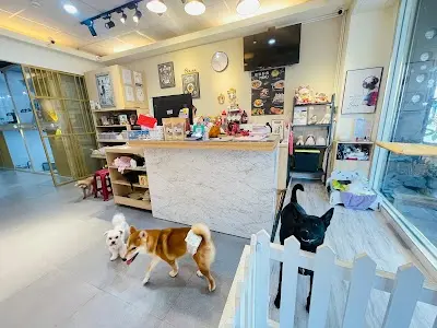寵悠活-鮮食宿-寵物旅館 寵物美容 寵物安親 寵物百貨 短期長期寵物住宿