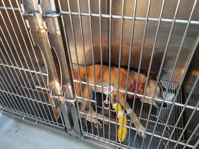 恆春永坤動物醫院