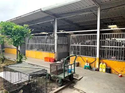澎湖縣流浪動物收容中心