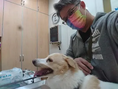 崇倫動物醫院