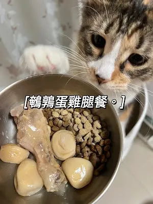 M毛森林