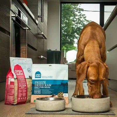PetBuy 哺萊 寵物精品
