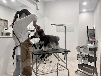 SEDO寵物美型所