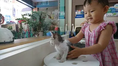 康莊動物醫院