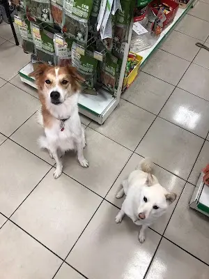 瘋寵物生活用品館