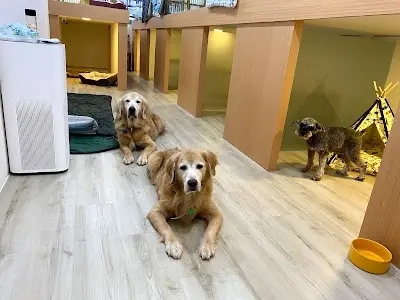 酉家寵物旅館