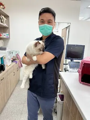 萌寵動物醫院（暨高壓氧雷射治療中心）