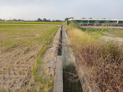六甲動物醫院