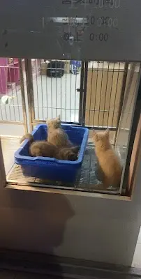 傑思寵物精品館