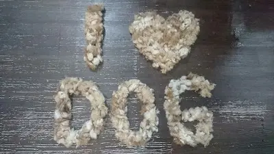 史迪奇寵物世界 寵物美容 住宿 安親
