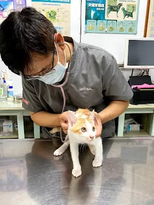祐安動物醫院