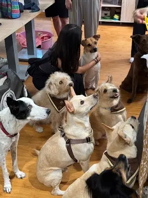 台灣攜旺浪犬教育協會