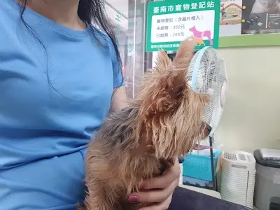 廣慈動物醫院