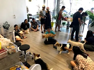 小森林寵物美容旅館