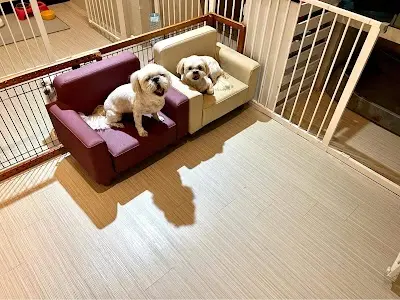 搖尾巴寵物生活館