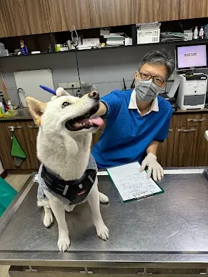 專一動物醫院