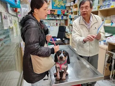 旺旺動物醫院