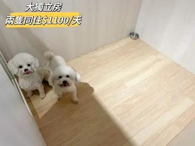 Dada寵物客棧(左營店)