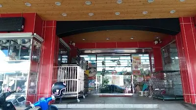 碰碰狗 寵物百貨用品賣場